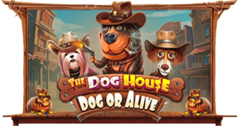 The Dog House – Dog or Alive